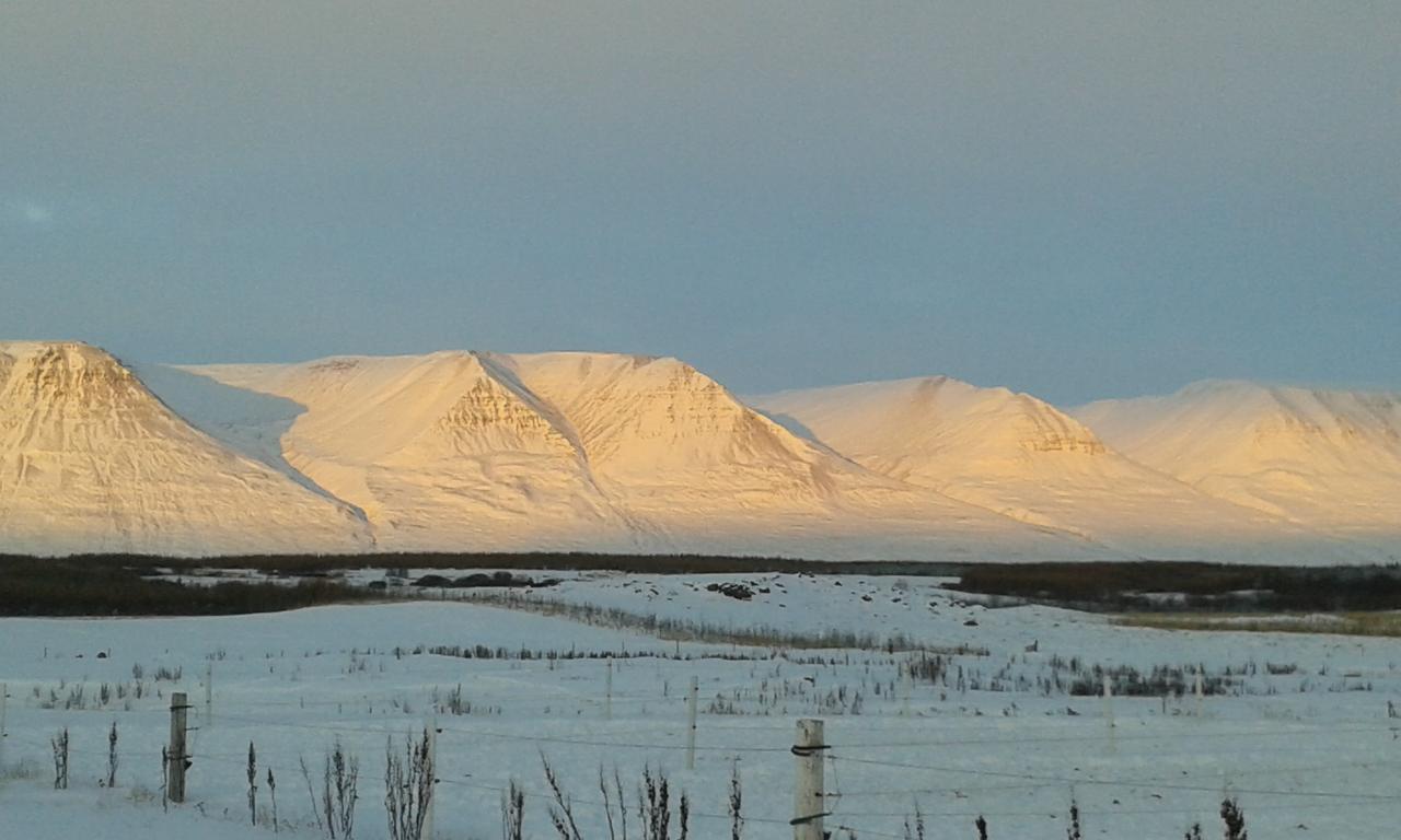 Glaesibaer 2 Guesthouse And Horsefarm Akureyri Exterior photo