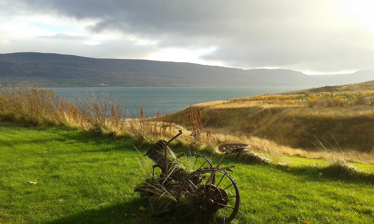Glaesibaer 2 Guesthouse And Horsefarm Akureyri Exterior photo